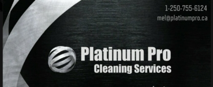 Platinum Pro Cleaning Services (Janitorial and office cleaning) - Janitorial Service