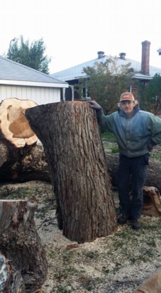 Émondage Serge Mooijekind - Service d'entretien d'arbres