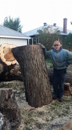 Émondage Serge Mooijekind - Tree Service