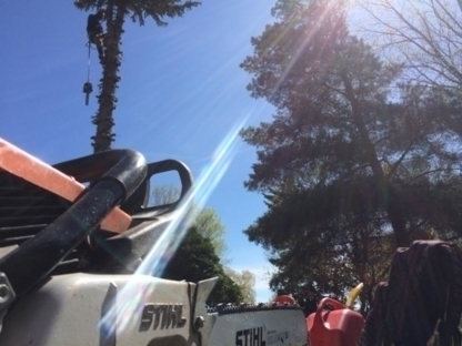 Busy Beaver - Service d'entretien d'arbres