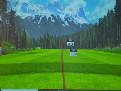 Master Golf - Indoor Golf