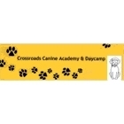 Crossroads Canine Academy & Daycamp - Dog Training & Pet Obedience Schools