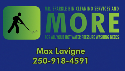Mr. sparkle bin cleaning services, and the more - Nettoyage vapeur, chimique et sous pression