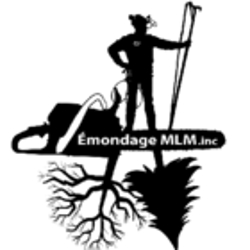 Émondage MLM - Abattage, Élagage, Déboisement - Taille de haie, Taille cèdres - Tree Service