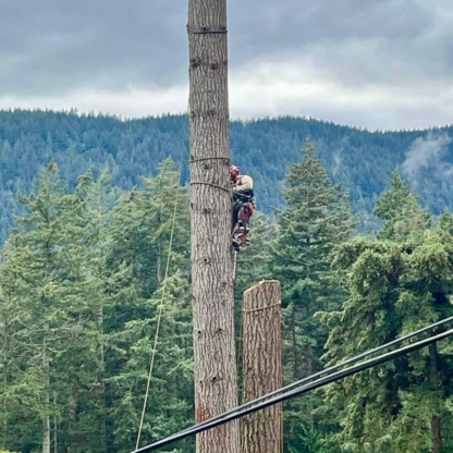 LumberJax Tree Service - Service d'entretien d'arbres