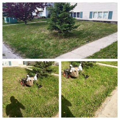 Quick Cuts Landscaping - Lawn Maintenance