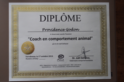 Providence Comportement Canin - Animaleries