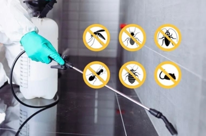 Eastside Pest Control Vancouver - Pest Control Services