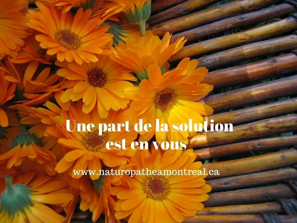 Voir le profil de Céline Pelland Naturopathe - Laval & Area