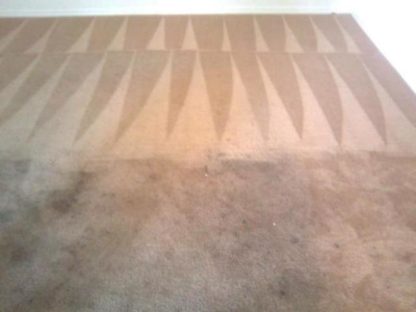 Amna Steam Carpet Cleaning - Carpet & Rug Cleaning