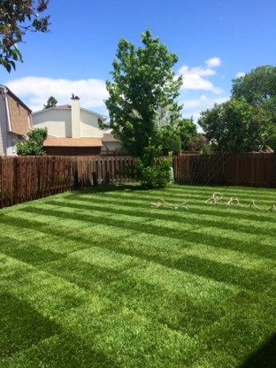 Grassroots Property Maintenance - Lawn Maintenance