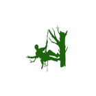 Voir le profil de Services d’arbres Christian Denis - Kahnawake
