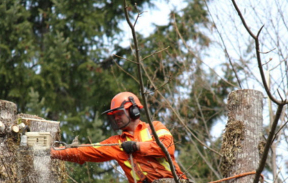 Adams Tree Service - Service d'entretien d'arbres