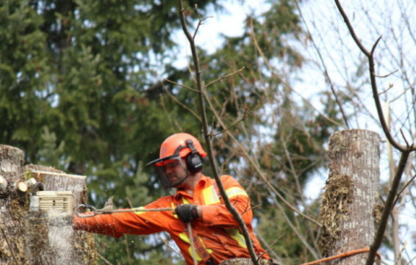 Adams Tree Service - Tree Service