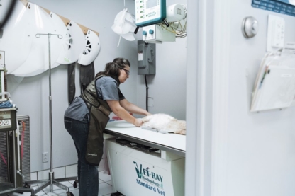 Hôpital Vétérinaire Sainte-Agathe - Veterinarians