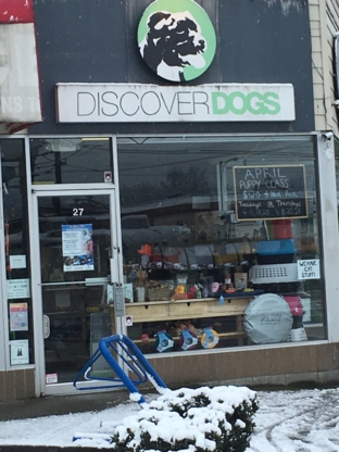 Discover Dogs - Pet Shops