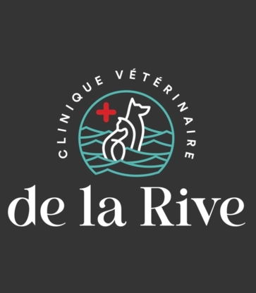 Clinique Vétérinaire De La Rive - Développement et conception de sites Web