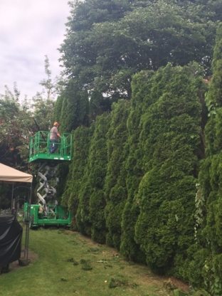 Central Valley Tree & Arbour - Paysagistes et aménagement extérieur