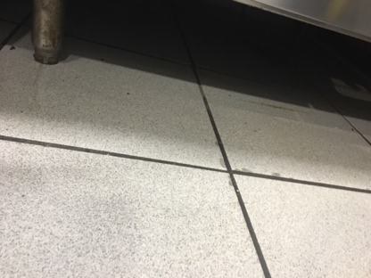 Jani Queen - Commercial, Industrial & Residential Cleaning