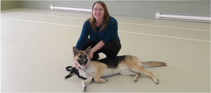 Dressage Claudine Chantal - Dog Training & Pet Obedience Schools