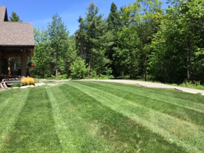 Prompt Maintenance & Landscaping - Lawn Maintenance