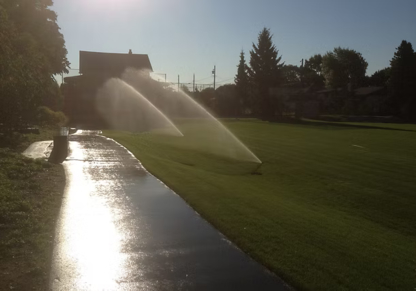 View Active Turf Irrigation Ltd’s Newton profile