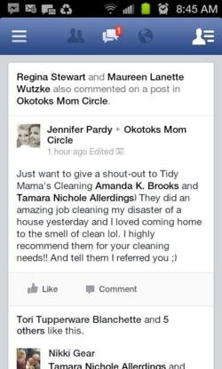Tidy Mamas Cleaning - Nettoyage résidentiel, commercial et industriel