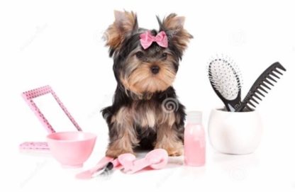 Salon du Chien Élégant - Pet Grooming, Clipping & Washing