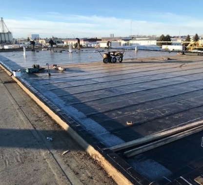 T N R Roofing Ltd - Roofers
