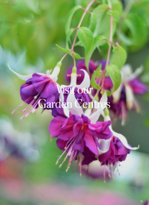 Windermere Garden Centre - Garden Centres