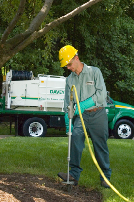 Davey Tree Expert Co Of Canada Limited - Tree Service