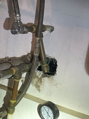 Phantom Pest Control Maple Ridge - Extermination et fumigation