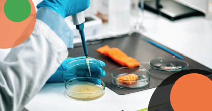 FTC International Consulting - Conseillers en services d'alimentation