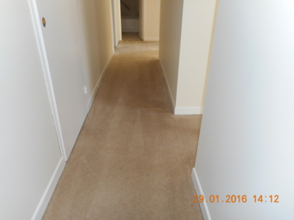 Tidy Master Carpet and Upholstery Cleaning - Carpet & Rug Cleaning