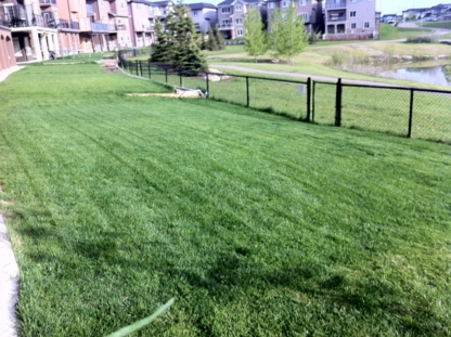 Green Leopard Lawn Care - Lawn Maintenance