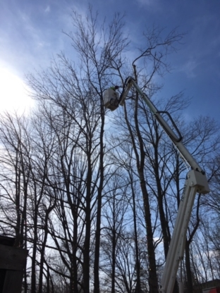 Ott's Tree Service - Service d'entretien d'arbres