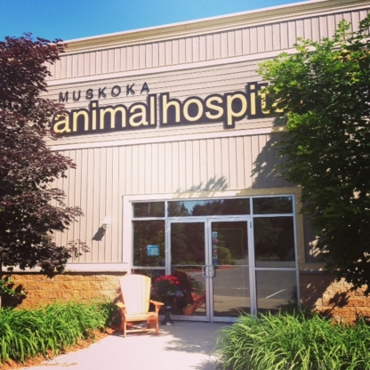 Muskoka Animal Hospital - Veterinarians