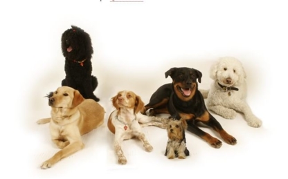 Ecole Canine Cyno Québec - Dog Training & Pet Obedience Schools