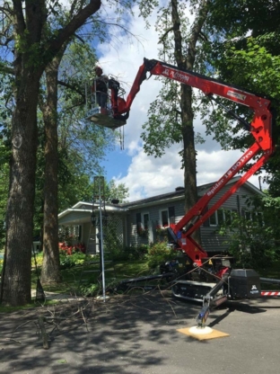 MD Émondage Professionnel - Service d'entretien d'arbres