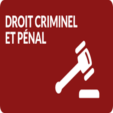 Me Louis-Michel Côté - Avocat Droit Criminel et Pénal - Fraude fiscale - Lawyers
