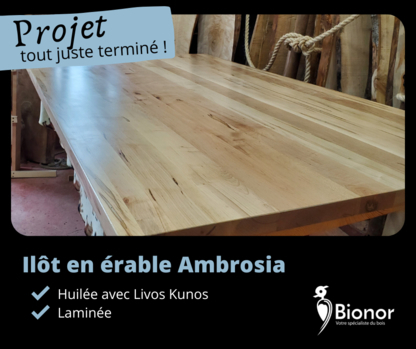 Scierie Bionor Inc - Menuiserie