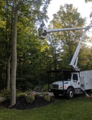 Tim McConnell Tree Services - Tree Service