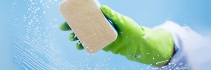 Elsie's Cleaning Services - Commercial, Industrial & Residential Cleaning