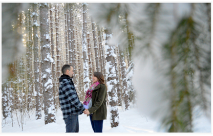Amanda Hillyard Photography - Portrait & Wedding Photographers