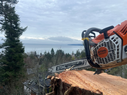 Evergreen Tree Service - Tree Service