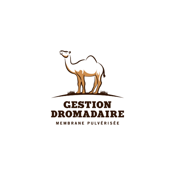 Gestion Dromadaire Inc - Entrepreneurs en excavation