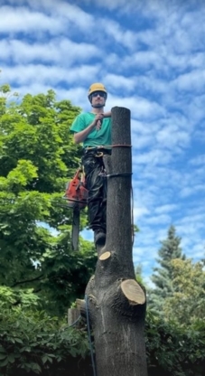 Apricot Tree Services - Service d'entretien d'arbres