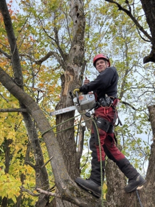Ramonage & Élagage Marcoux - Tree Service