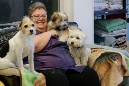 Heather's Place Doggy Daycare & Grooming - Pet Care Services