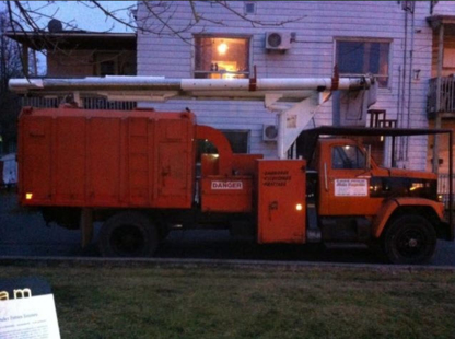 Élagueur Spécialisé Alain Paquette - Tree Service